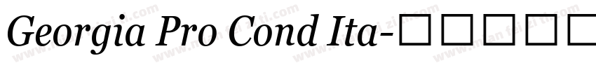 Georgia Pro Cond Ita字体转换